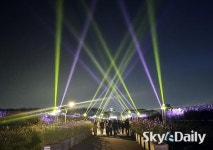 가을밤 억새축제