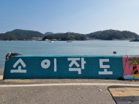 [주말N여행] 식당·편의점 없고 카페는 있다! 소이작도 배낚시 섬마을 투어