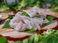 [주말N여행] 식당·편의점 없고 카페는 있다! 소이작도 배낚시 섬마을 투어