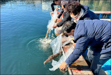 경북도, 바다산삼 ‘해삼’ 도내 연안 마을어장 방류