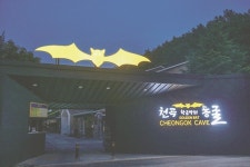 동해시 ‘천곡황금박쥐동굴’ 소확행 여행지로 각광