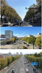 인천시, 28개 명품 가로수길 조성 완료