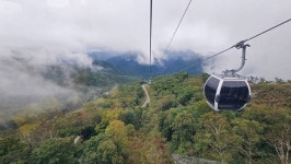 국민고향정선, 웰니스 관광 활성화 박차