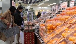 [이슈진단] 대형마트 ‘휴일 휴무’ 억울한 11년 족쇄… 전통시장  활성화 미미