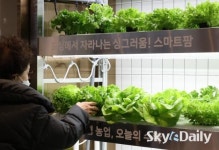 롯데쇼핑(주)롯데마켓999인하대점 | 차별화한 먹거리 쇼핑… 롯데마트 ‘그랑그로서리’