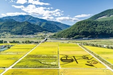 국민고향정선 대표 캐릭터 ‘와와군’ 인기 쑥쑥