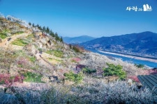 [정창옥의 열사일침(烈士一鍼)] 죽음에 초연한 사람들이 사는 섬진강의 기억