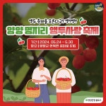 양양 명지리 마을에서 빨간 앵두와 추억을 만드세요!