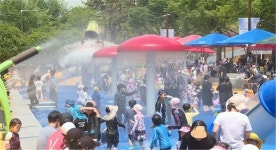 기장군, 정관 윗골공원 물놀이장 3만7000여 명 방문