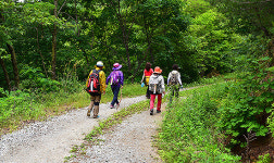 봉화군, 외씨버선길 함께 걷기 28일 개최