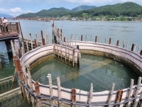 나비 모양 ‘남해도’ 1300년 전 선점한 이름 [아는 풍경 낯선 여행]