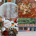 [유성호의 맛있는 동네산책] 가을 초입 묵호 논골담길 보고 만난 맛집