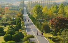 한국관광공사가 추천한 ‘낙엽 밟으며 걷기 좋은 길’ 5곳