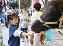 “말죽거리에서 말 타기 즐겨요”  양재 말죽거리축제