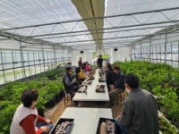 진도군농업기술센터·진도화훼연구회, 수목 삽목 기술교육·현장 컨설팅