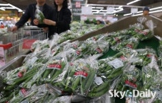 농협하나로마트, 청양고추 최대 45%할인