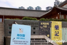 한방진흥센터 관광하는 외국인들