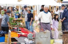 안성 남사당 바우덕이 축제, 대한민국 문화도시의 진수 선보였다