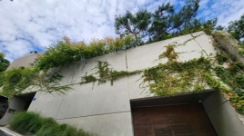 [부(富)의 지도 2025 ⓺] 전통 부촌 성북동 ‘문화 뉴 리치’의 아지트로