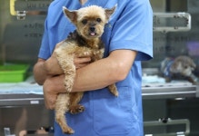 서울대동물병원 매출 82억원 vs 지방국립대 평균 17억원