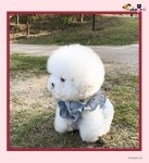 꼬불꼬불 숑사탕