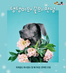 댕댕이와 꽃의 만남