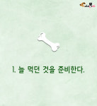 펫과 함께 떠나요