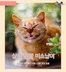 상큼 발랄 미소냥이