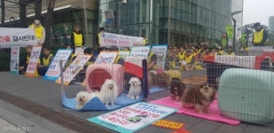  대기업의 반려동물산업 진출 반대한다