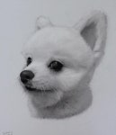 강아지 초상화 그리기 이렇게나 쉽다?!