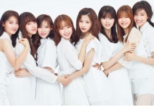  모든 음악이 한자리에 반려동물과 함께하는 야외 콘서트