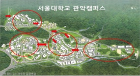 서울대, 학교 차원에서 길고양이와 공생 나선다