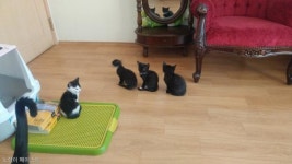 나 급해, 빨리 나와! 