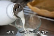 개밥주는 남자 소가 아팠던 이유, 거대식도증
