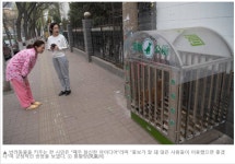 중국에 등장한 강아지 공중 화장실 