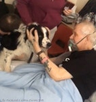 우리 똥강아지 딱 한 번만..죽음 앞둔 환자와 반려견의 만남