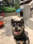 왔군, 왔남, 왔어, 왔음, 왔, 왔, 왔..