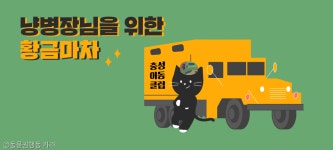 군대 고양이 짬타이거에 관심을