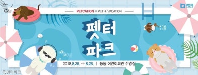 주인아, 너만 가냐! 개헤엄치는 펫터파크 개장