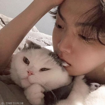 안재현, 시크한 표정의 '닮은꼴' 반려묘