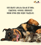 반려동물도 당뇨병에 걸린다구요?