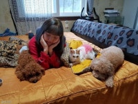 강아지 동생 장난감 꺼내주는 착한 고양이 언니