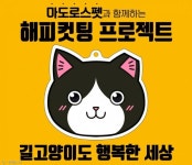 송년회 대신 고양이..한해 마무리는 궁디팡팡에서