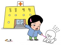 동물병원 앞에서 개가 사고를 당하는 이유