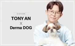 개아범 토니안, 반려견 용품회사 모델로