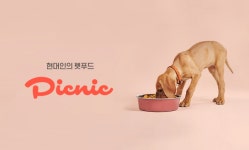사료 정기배달 예스피크닉, 론칭 8개월..4천 마리 이상 회원 유치
