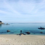  공효진, 반려견 요지와 바닷가 산책 