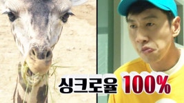 이 기린, 저 기린, 광수를 구별하는 인공지능 이야기