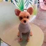 꽃비 맞는 꽃개의 귀여운 자태..누가 꽃이개?  