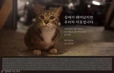전국 전철역에서 사람들을 맞이하는 7마리 고양이